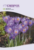 copertina numero 135