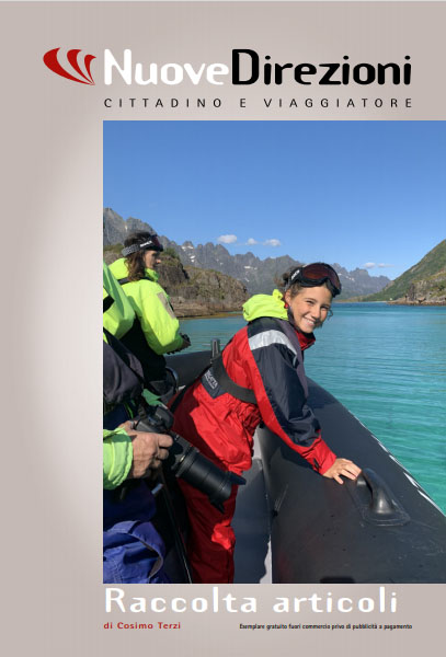 copertina di Raccolta articoli - Nuove Direzioni